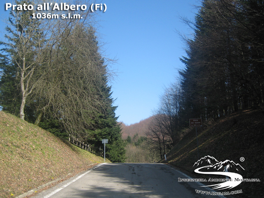 Passo Prato all'Albero